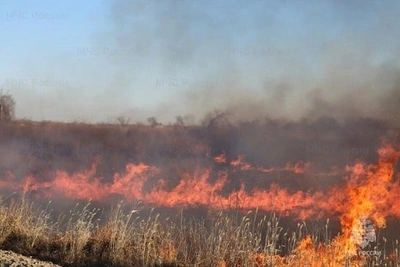 Режим ЧС в лесах ввели в Амурской области