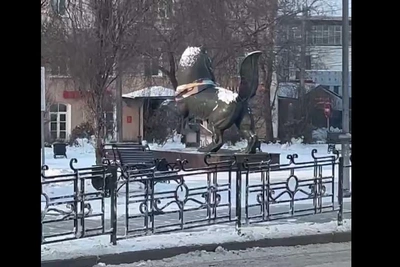 Украденный шарф вернули иркутскому бабру