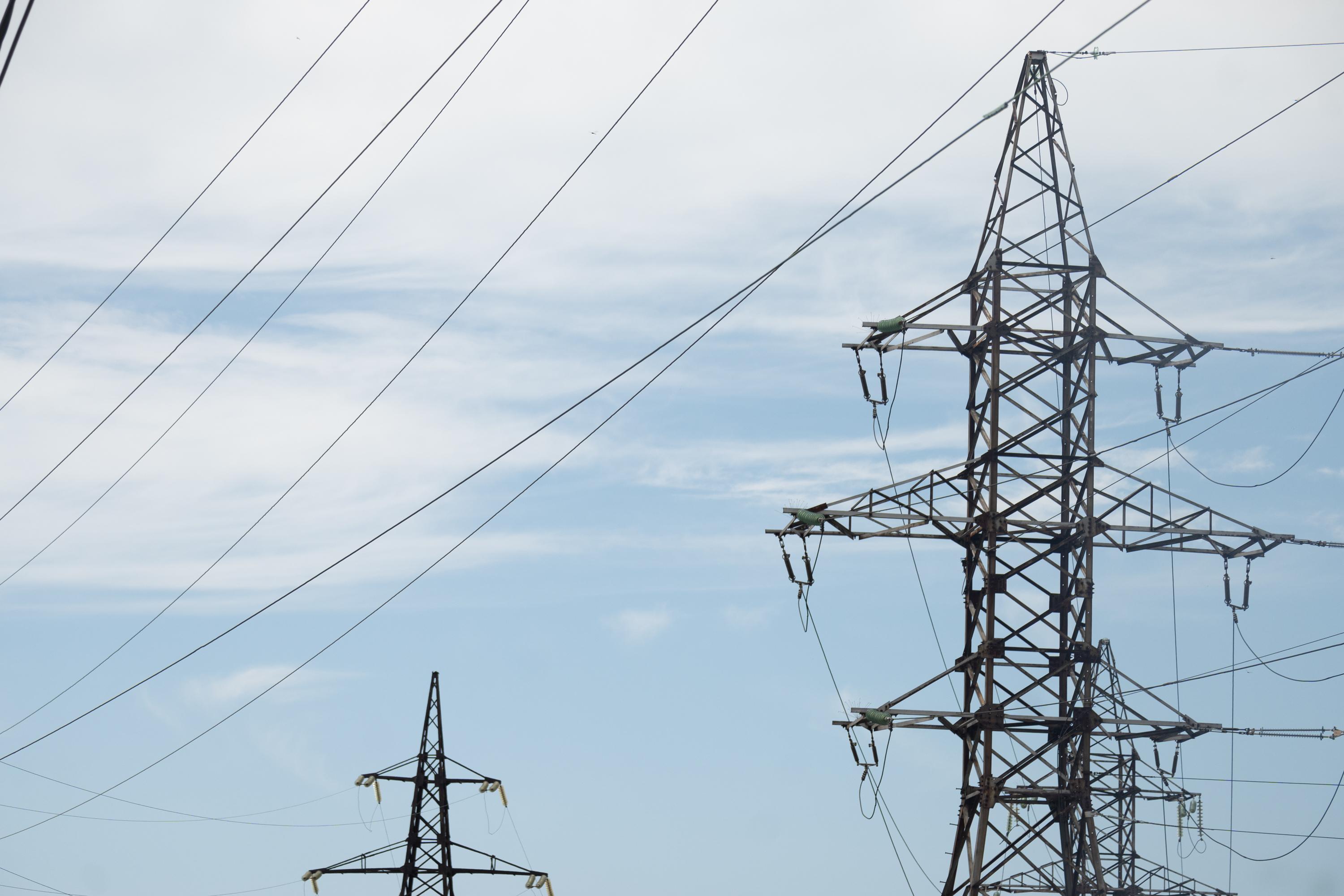 Город в Красноярском крае погрузился во тьму из-за кошки: животное не выжило. Новости 17 ноября