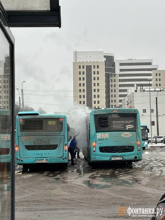 Источник: читатель «Фонтанки»