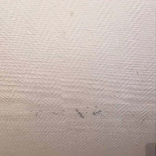 Следы плесени на стенах | Источник: Личный архив Виктории