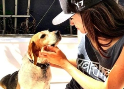 Доброе сердце: Меган Маркл, Джордж Клуни и другие звезды, взявшие собаку из приюта