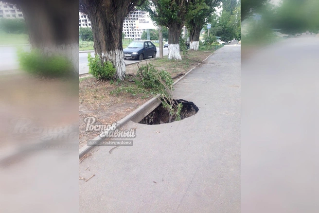 Горожане положили в дыру большую ветку, чтобы никто не провалился | Источник: Ростов Главный/Vk.com