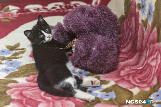 Всем отдыхать | Источник: Мария Ленц / NGS24.RU