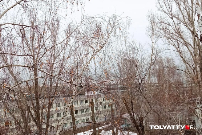 Туман накрыл Тольятти как куполом | Источник: Юлия Дроглева