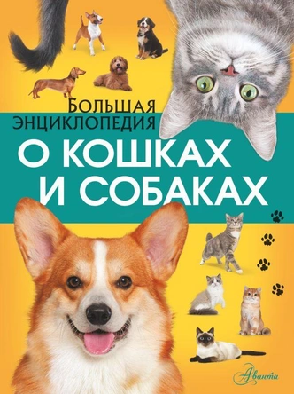 О динозаврах, космосе и подводном мире: 12 энциклопедий для почемучек