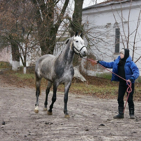 Источник: Александр Зинченко / Voronezh1.ru