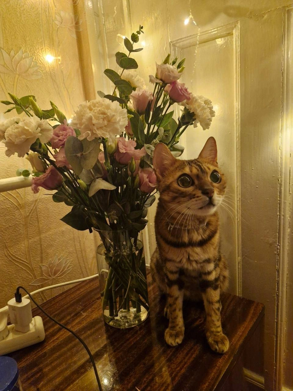 Источник: Марта Туголукова