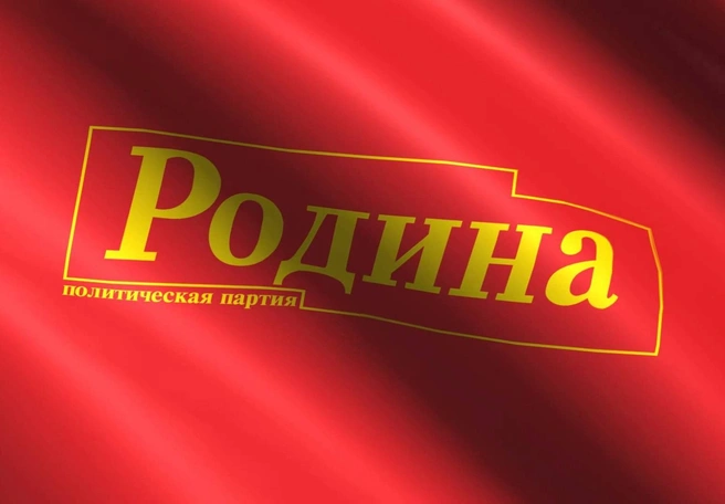 Суд снял партию «Родина» с выборов в Рязанскую облдуму | ya62.ru