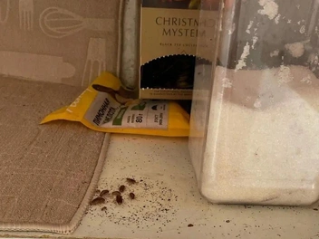 Они оставляют после себя грязь | Источник: Игорь Н. / «Яндекс Карты»