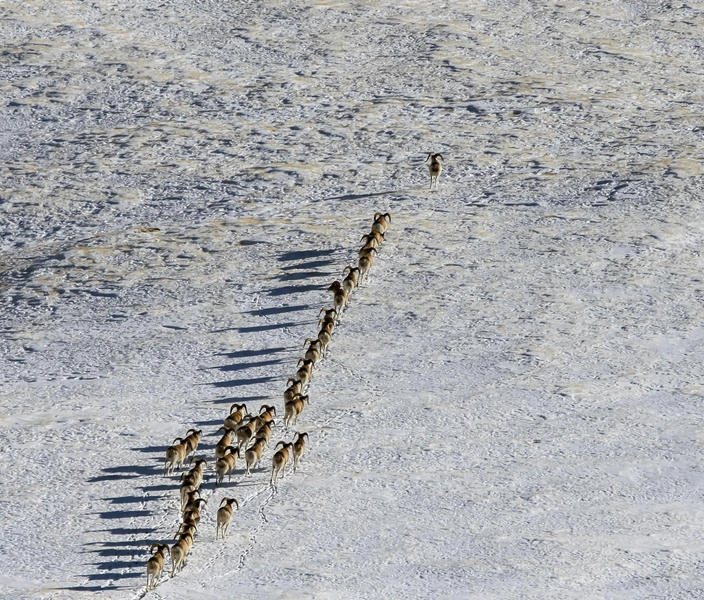 Источник: Okyela/Shutterstock/Fotodom.ru