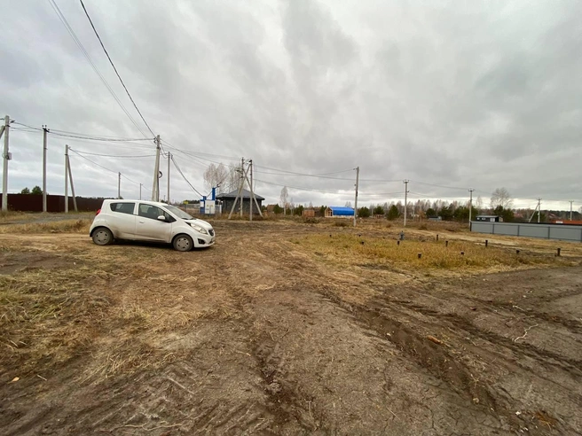 Этот снимок сделан осенью прошлого года. За прошедшее время на участке тюменки ничего не изменилось | Источник: Екатерина Т.
