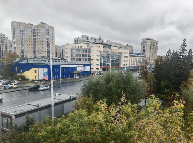 Так выглядит земля | Источник: torgi.gov.ru