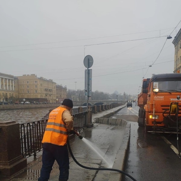 Источник: Комитет по благоустройству Петербурга
