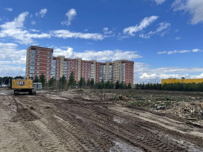 На этом пустыре скоро начнется стройка | Источник: администрация Сургута