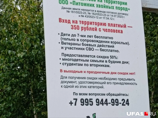 Цены актуальны на 2026 год | Источник: Марина Каримова / UFA1.RU