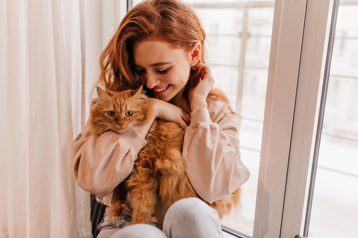 Ваш кот тоже может так: домашние питомцы снижают риск инфаркта и защищают от боли