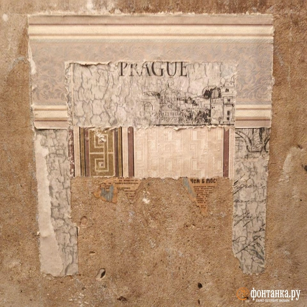 Источник: Алина Циопа / FONTANKA.RU