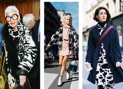 Коровий принт – новый модный конкурент «леопарда» и «зебры»
