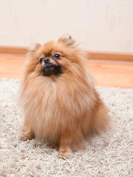 Источник: iStock