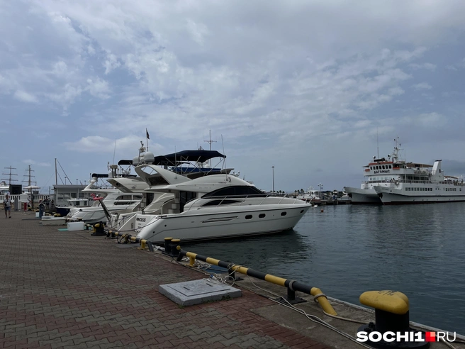 Купил билет на сайте, пропуск не нужен  | Источник: Анна Грицевич / SOCHI1.RU