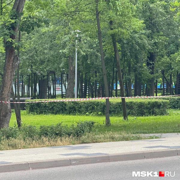 А парк перекрыли сигнальной лентой | Источник: MSK1.RU