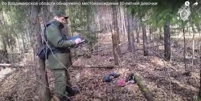 Кадр из видео СК РФ в YouTube | www.fontanka.ru