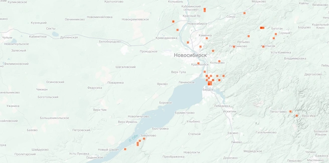 Грибы стоит искать под осинами и тополями | Источник: inaturalist.org