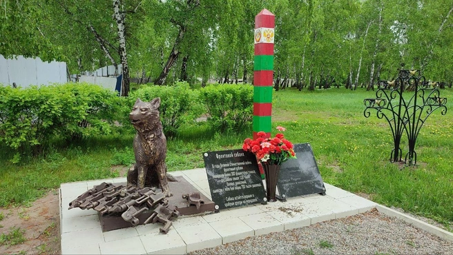 Памятник фронтовой собаке | Источник: Ксения Власова / IRCITY.RU