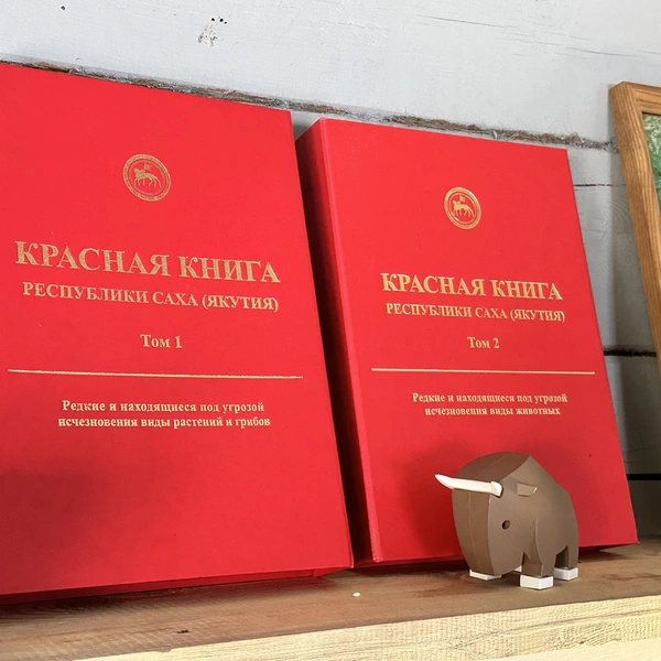Источник: Илья Константинов / 14.RU