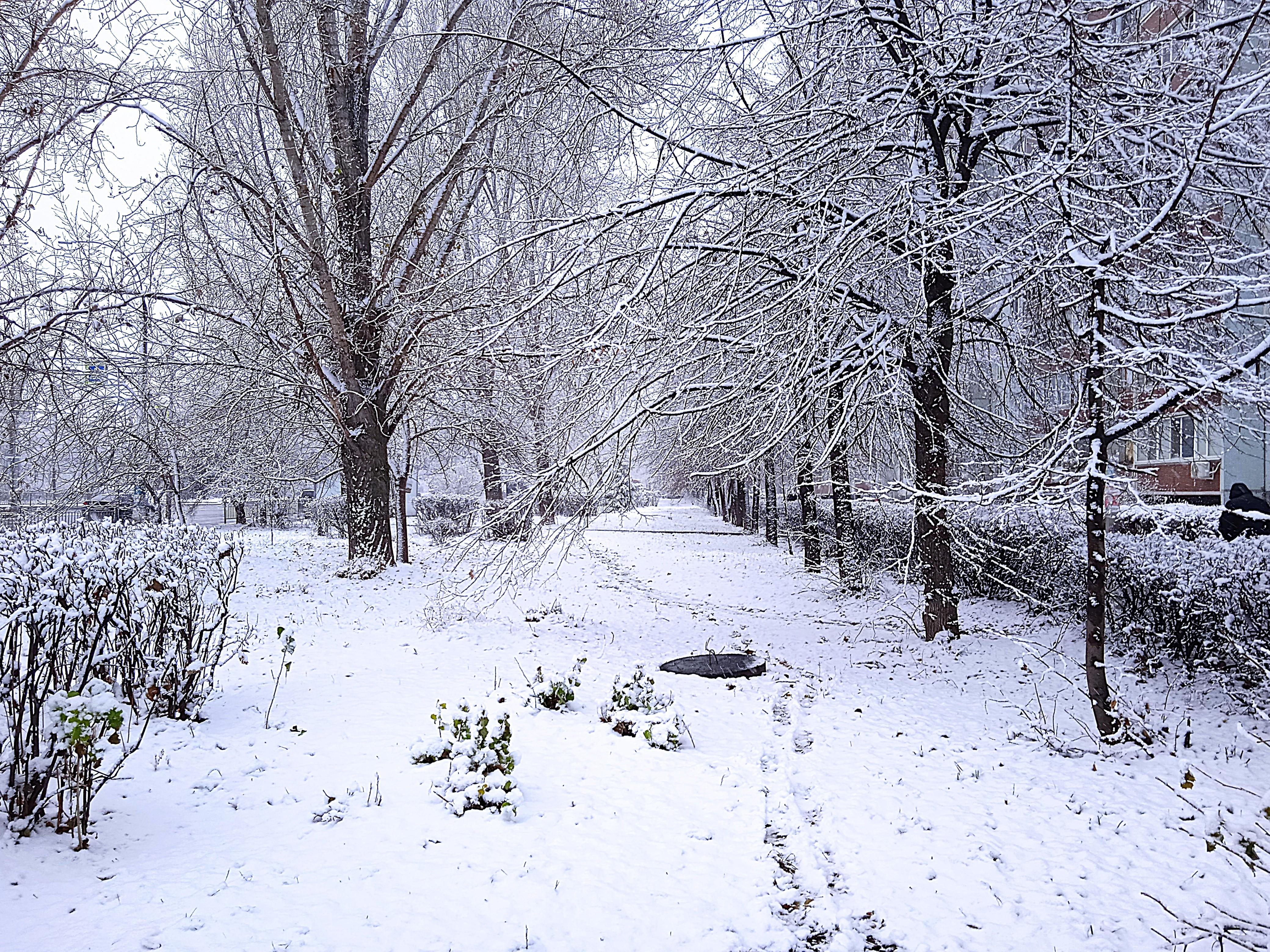 В Ульяновске ожидаются снегопады и похолодание