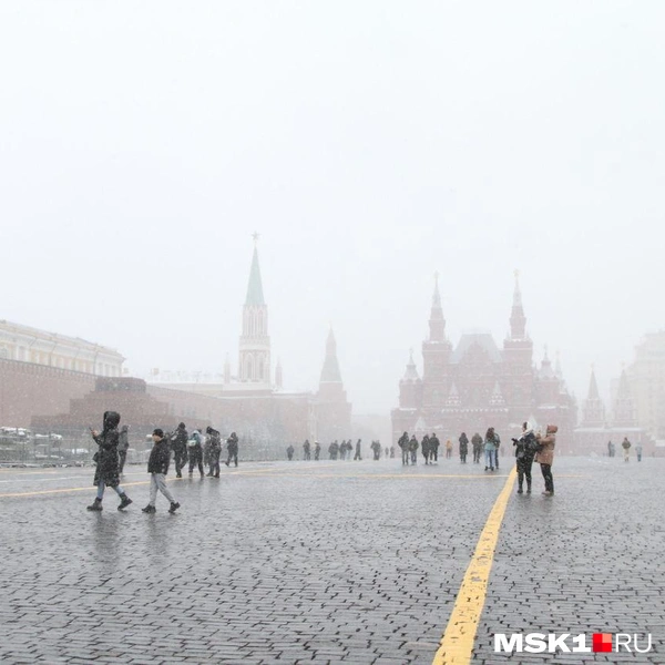 Источник: Татьяна Спиридонова / MSK1.RU