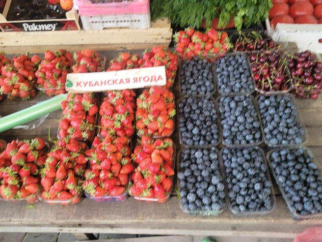 Источник: Кристина Калинина / NN.RU