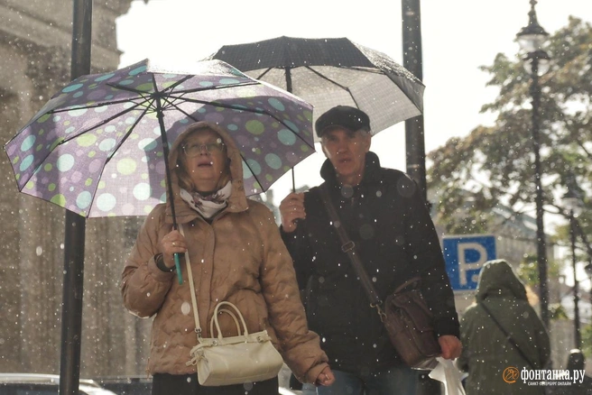 Начинается особая пора — предзимье | Источник: Михаил Огнев / «Фонтанка.ру»