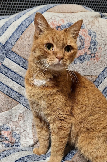 Источник: Анастасия Кондакова