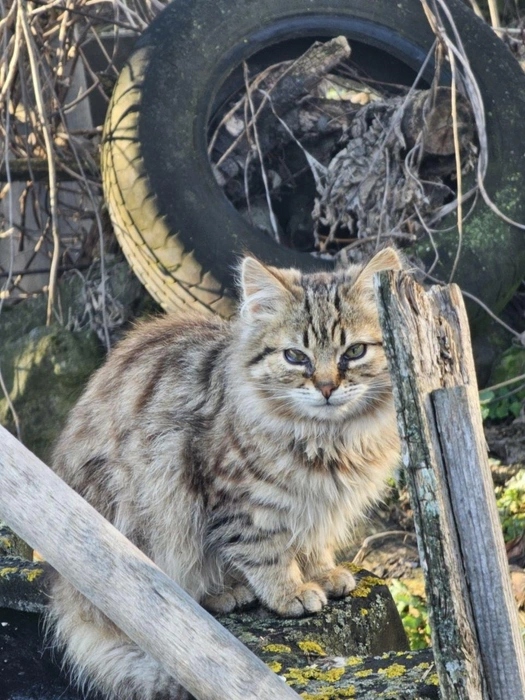 Источник: Василий Калинин