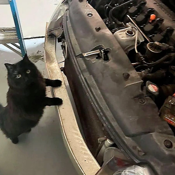 Источник: соцсети