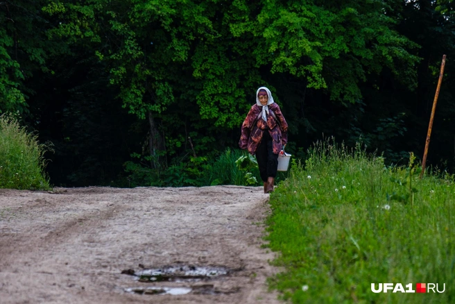 Журналисты на двоих получили два десятка укусов&nbsp;— к счастью, обошлось без клещей | Источник: Булат Салихов / UFA1.RU