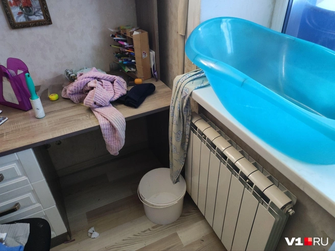 Особенно тяжело семейству было пережить снежную зиму | Источник: Денис Паустовский / V1.RU