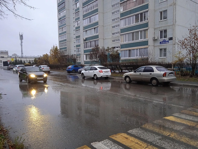 МЧС предупреждает ульяновцев о гололеде | Источник: Дмитрий Сильнов / 173. RU