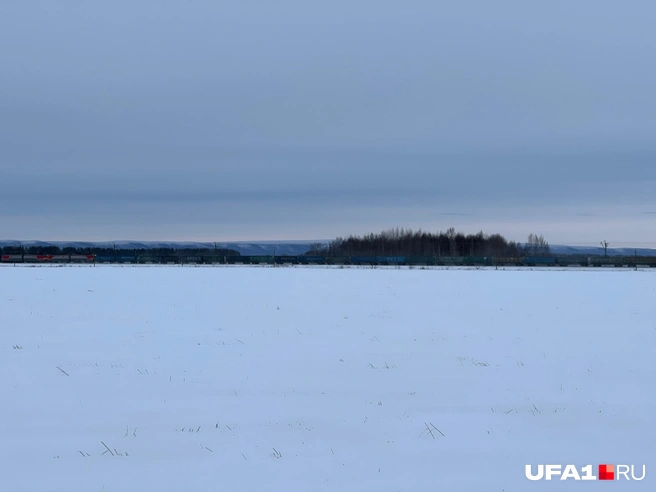 Вдали едет грузовой состав | Источник: Андрей Бирюков / UFA1.RU