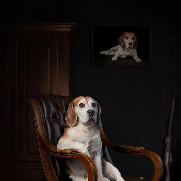 Источник: Dog Photography Awards