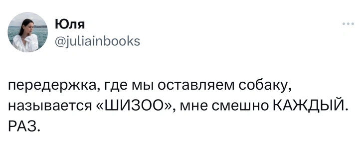 Шутки понедельника и «ШИЗОО»