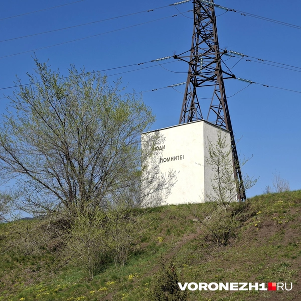 Источник: Алёна Воропаева / Voronezh1.ru