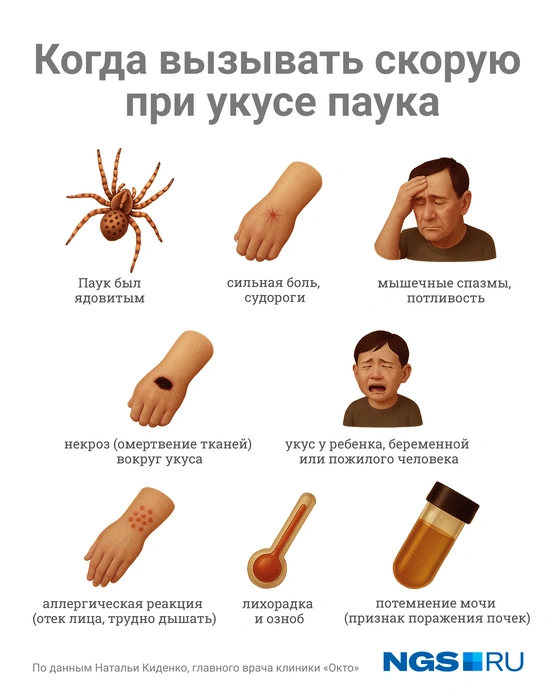 При сильной аллергической реакции нужно дать антигистаминные препараты | Источник: Юрий Орлов / Городские порталы