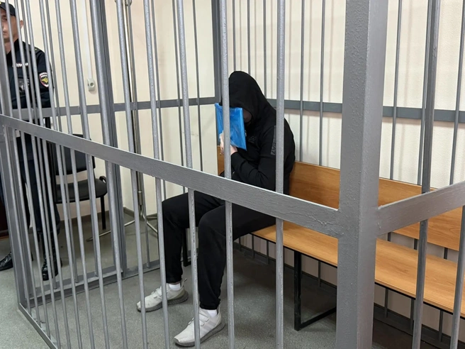 Дмитрий Гаренский захватил с собой папку с вырезками каких-то статей из газет | Источник: Анастасия Якупова / Е1.RU