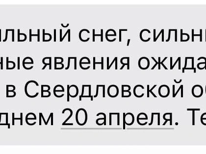 Пример SMS-оповещения, полученного жительницей Екатеринбурга. | Источник: читательница E1.RU