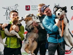 Австралийская овчарка, бигль и хаски: в Москве нашли самых быстрых псов