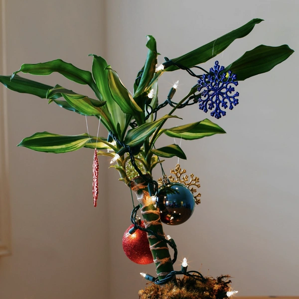 Как украсить дом без елки: 40+ фото и идей