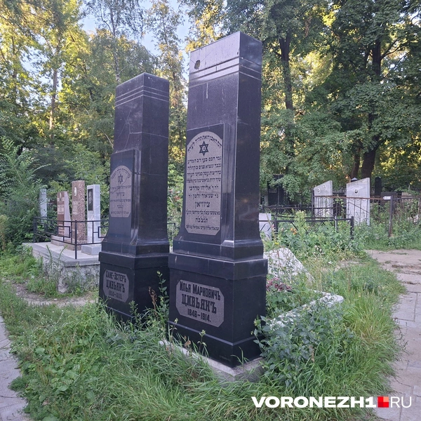 Источник: Алёна Воропаева / Voronezh1.ru